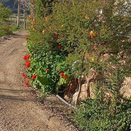 Εξοχικό σπίτι Cortijo Rural Molino Con Piscina Y Zonas Compartidas *