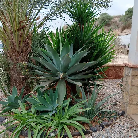 Cortijo Rural Molino Con Piscina Y Zonas Compartidas Hétvégi ház El Tarahal